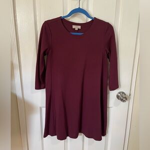 Loft A line sweater dress mini.